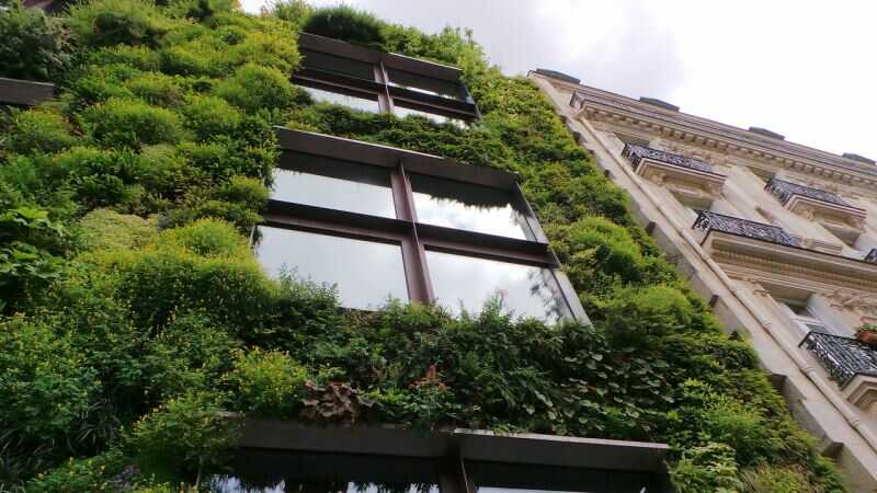 Zelená fasáda se nejčastěji objevuje na administrativních a moderních bytových budovách