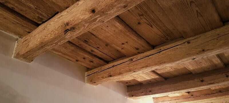Trámové stropy napadané červotočem