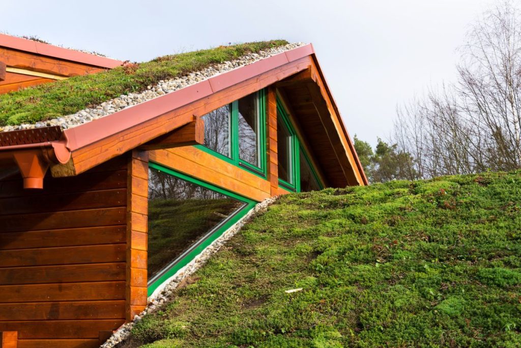 Zelená střecha se stará o příjemnou teplotu v podkroví po celý rok