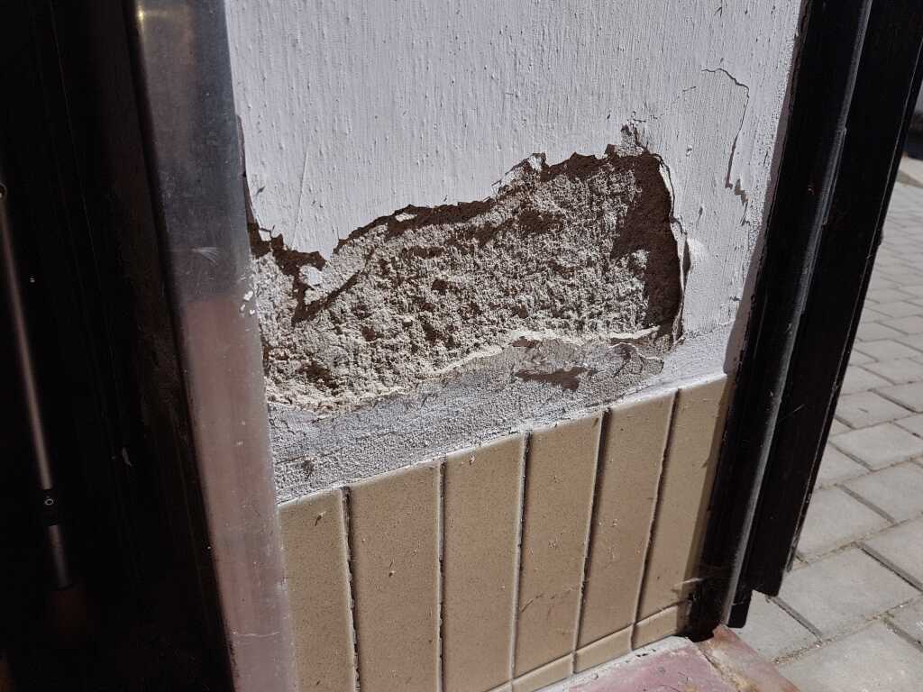 Omítka poškozená vlivem vzlínající vlhkosti skrze poškozenou hydroizolaci stěny. 